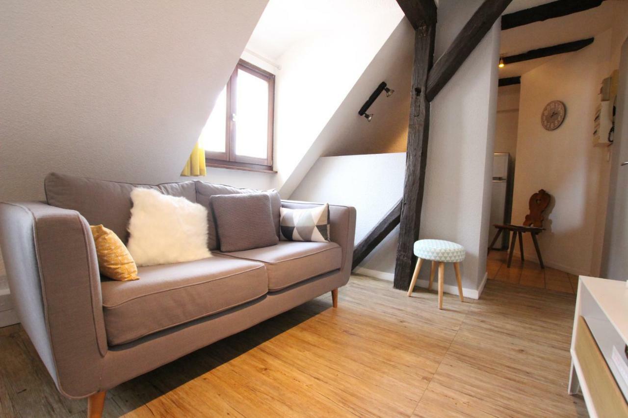 Colmar City Center - Appartement Petit Ours - Bookingalsace Exterior foto
